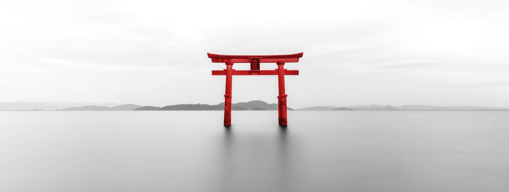 Programme ZEN